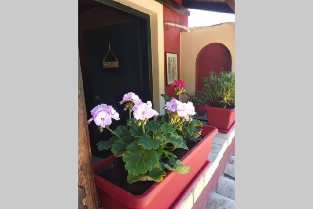 Green Hill Studio Corfu Town Esterno foto